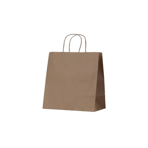 BROWN KRAFT PAPER BAG MEDIUM  305 X 305 X 170 (250